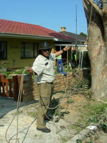 Disa Str - Hermanus - 006_s